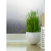 Frost Static Window Film | Jeffrey Stevens - Image 3