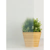 Frost Static Window Film | Jeffrey Stevens - Image 1