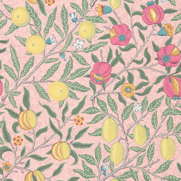 Fruit Stardust | Morris & Co.