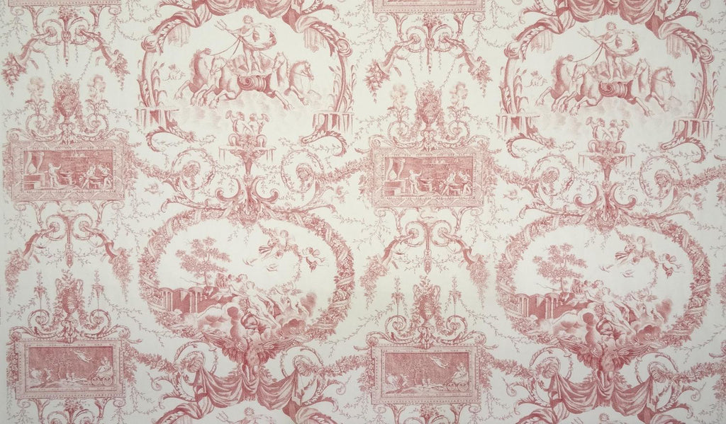 Neptune Toile, Fushia