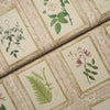 Garden's Trust BLUSHED OYSTER | Schumacher - Image 10