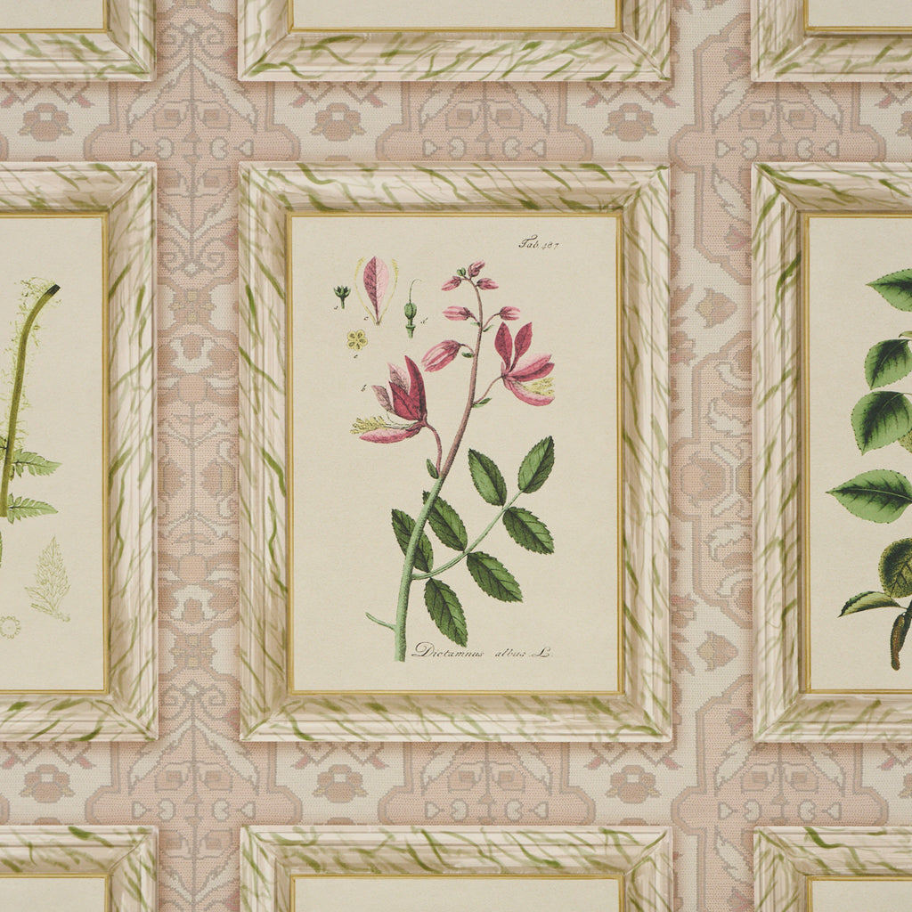 Garden's Trust BLUSHED OYSTER | Schumacher - Image 6