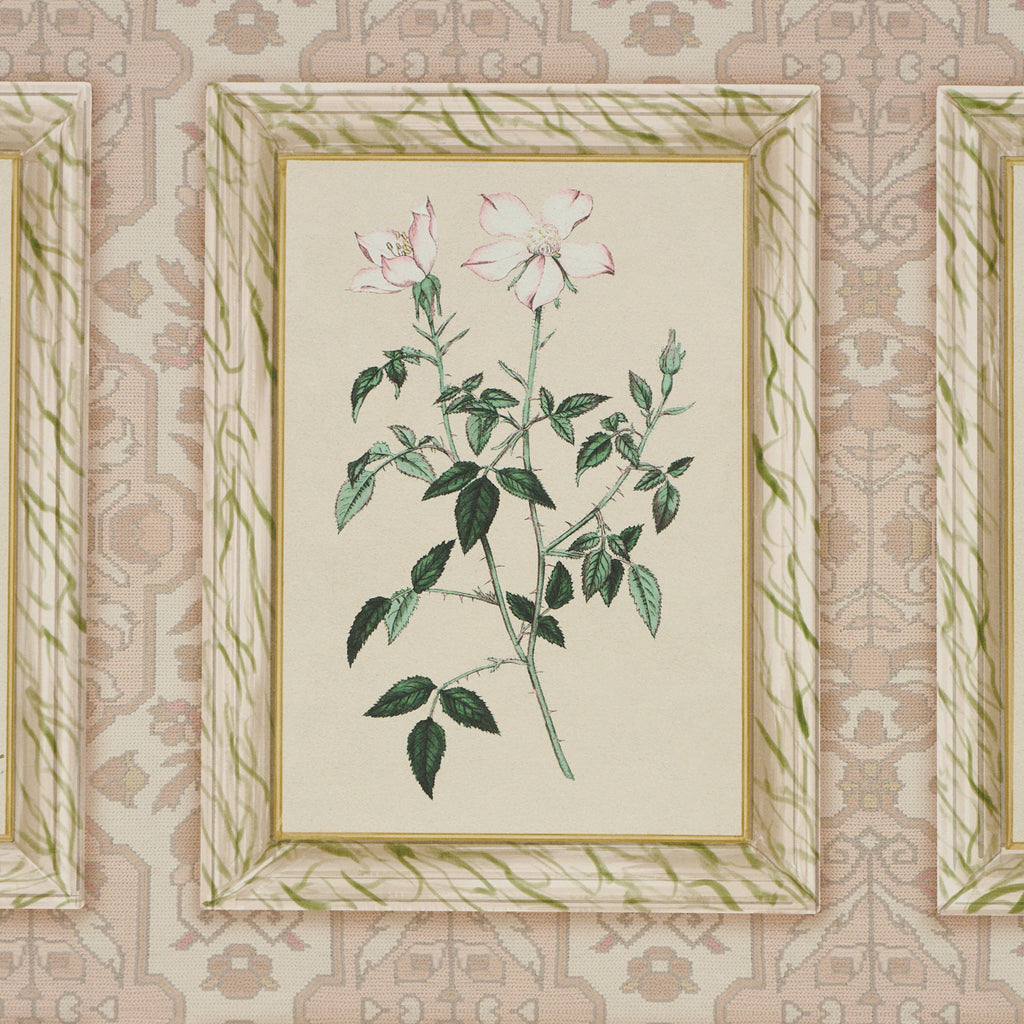Garden's Trust BLUSHED OYSTER | Schumacher - Image 8
