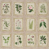 Garden's Trust BLUSHED OYSTER | Schumacher - Image 1
