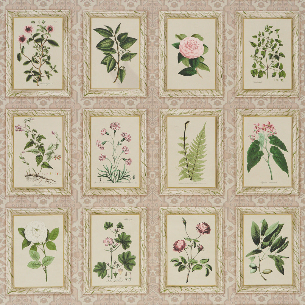 Garden's Trust BLUSHED OYSTER | Schumacher - Image 1