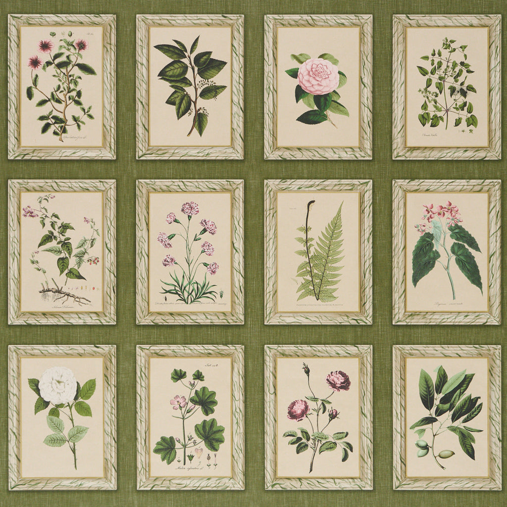Garden's Trust ENGLISH GREEN | Schumacher - Image 1