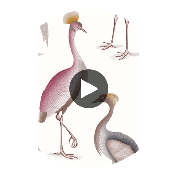 Garzas Blanco | Gaston Y Daniela Circular Swatch | DW