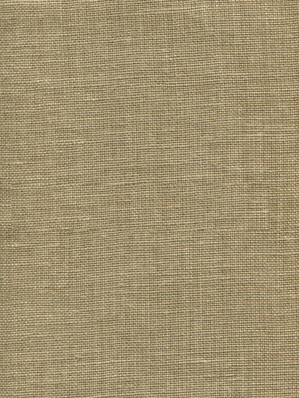 Ghent, Pale Camel | Plains