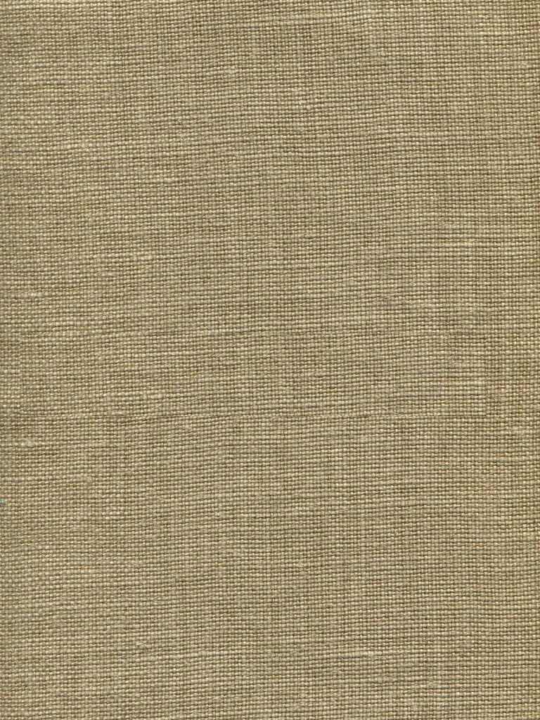 Ghent, Pale Camel