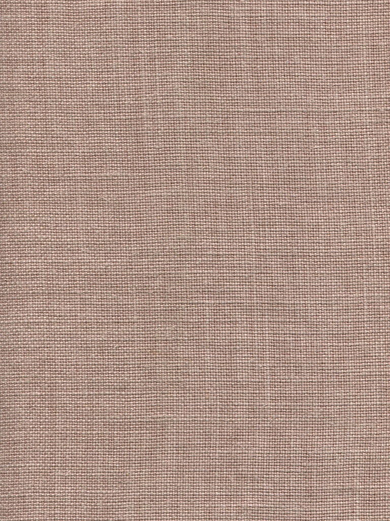 Ghent, Rose Petal