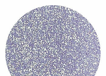 Hollywood Glamour Glitter - Lavendar Iris | Glitter Walls