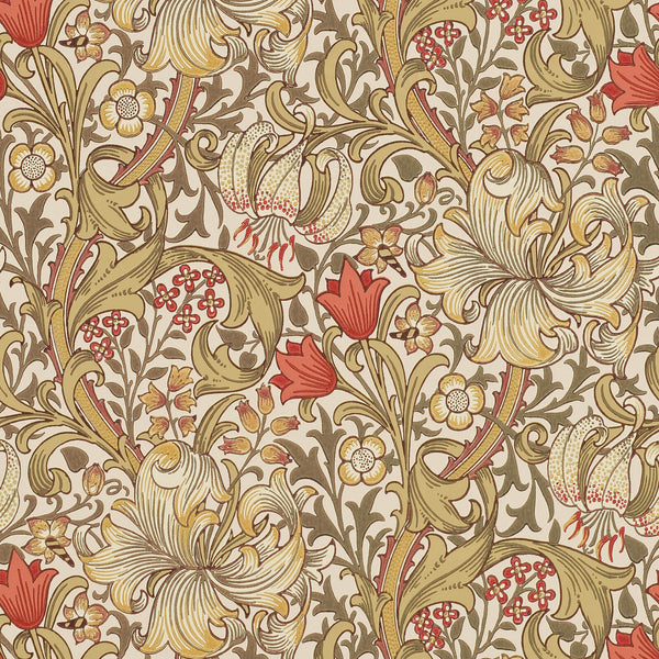 Golden Lily Biscuit/Brick | Morris & Co.