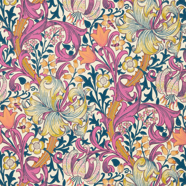 Golden Lily Pink Fizz | Morris & Co.
