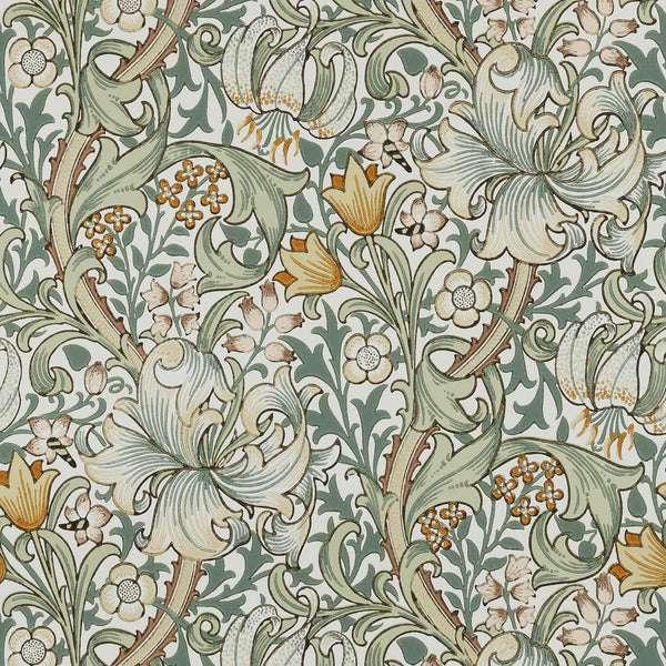 Golden Lily Sage | Morris & Co.