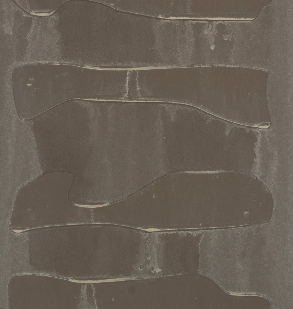 Gradiens Remnant
