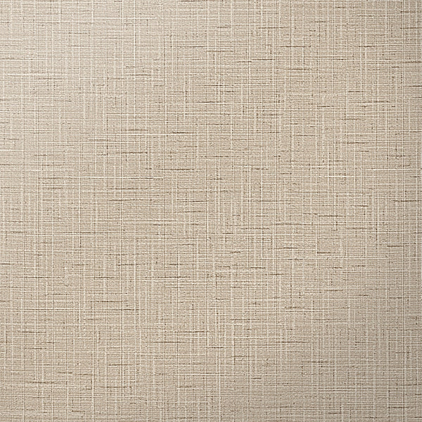 Hollywood Tailored | Hollywood Wallcoverings