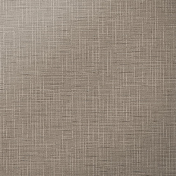 Hollywood Tailored | Hollywood Wallcoverings