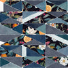 Hidden Fruits Blue