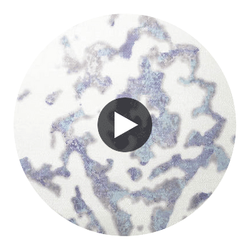Hollywood Antique Damask | Hollywood Wallcoverings Circular Swatch | Hollywood Wallcoverings