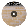 Hollywood Chic Plaster | Hollywood Wallcoverings Circular Swatch | Hollywood Wallcoverings