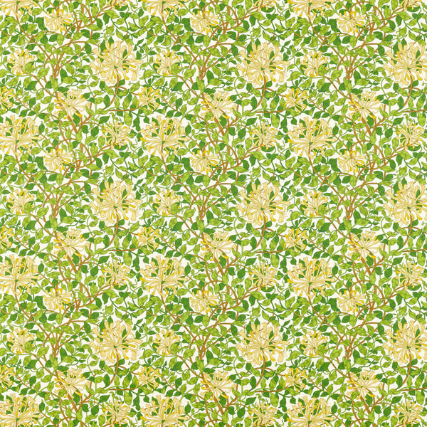 Honeysuckle Cream/Chocolate | Morris & Co.