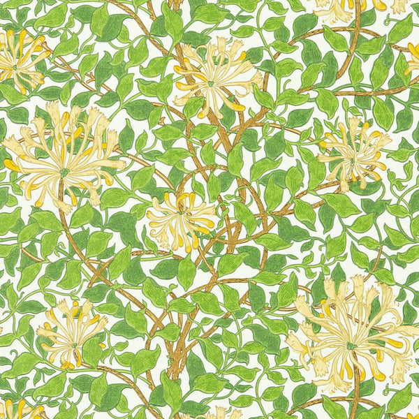 Honeysuckle Cream/Chocolate | Morris & Co.