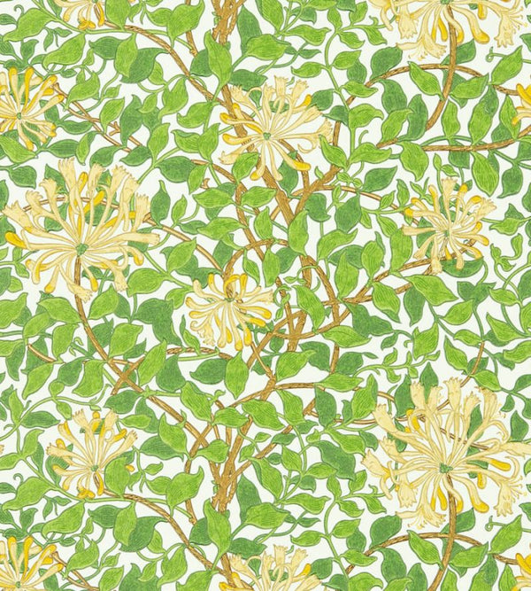 Honeysuckle Chocolate Cream Wallcovering | William Morris