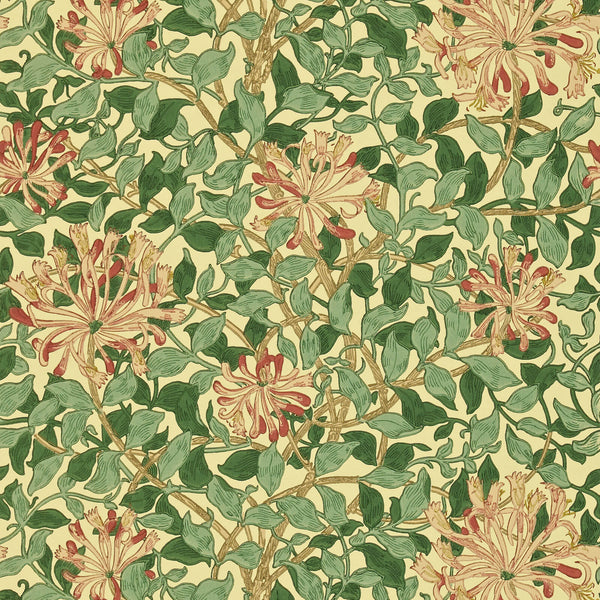 Honeysuckle Green Coral Pink | Morris & Co.