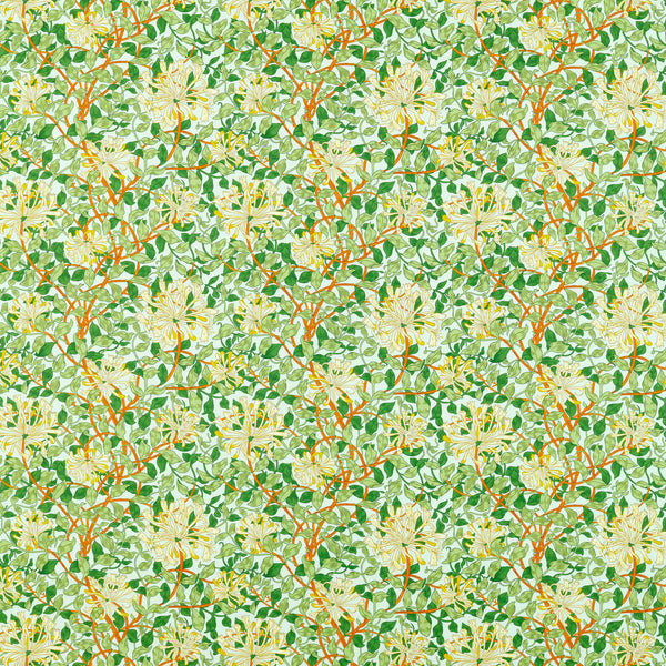 Honeysuckle Sky/Burnt Orange | Morris & Co.