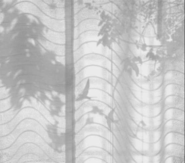 Hortus Umbra M2609-3 Wallcovering | Tres Tintas