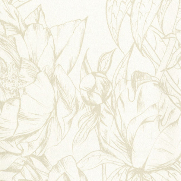 Paradise Vinyl | Hollywood Wallcoverings