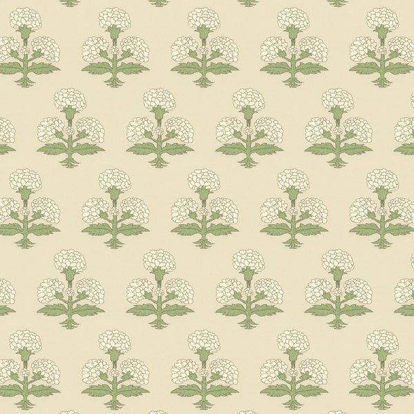 Hydrangea Pistachio | Stout Textiles