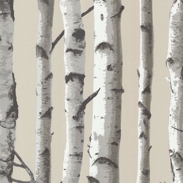 Irvin Grey Birch Tree | Jeffrey Stevens - Image 1
