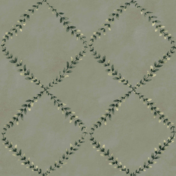 Ivy-Garland Sage | Coordonné