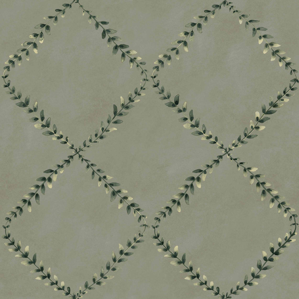 Ivy-Garland Sage | Coordonné
