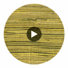 Iwate Luxury Grasscloth | Phillipe Romano Circular Swatch | DW
