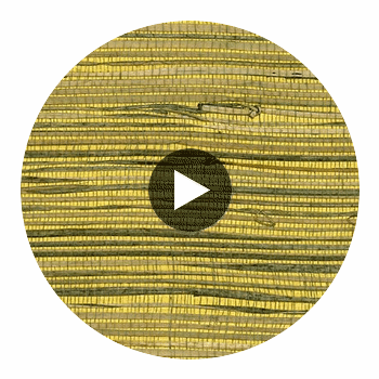 Iwate Luxury Grasscloth | Phillipe Romano Circular Swatch | DW