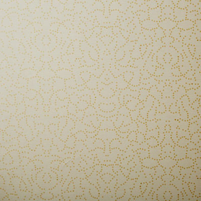 Jaipur - Golden | Wolf Gordon Wallcoverings