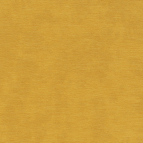 Carnegie Joli 11