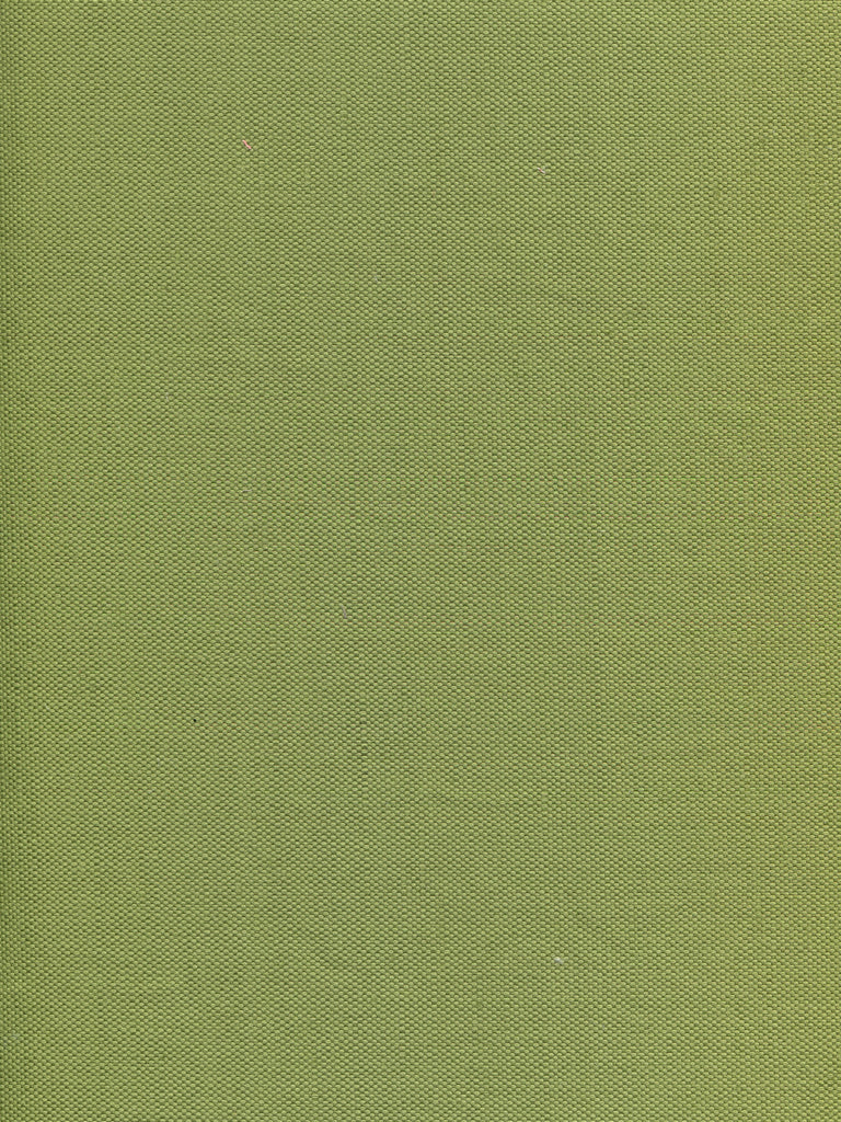 Bahama Cloth II, Jungle Green
