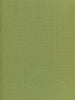 Bahama Cloth II, Jungle Green