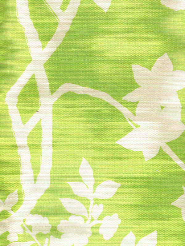 Happy Garden Background, Jungle Green on Tint Wallcoverings | Quadrille