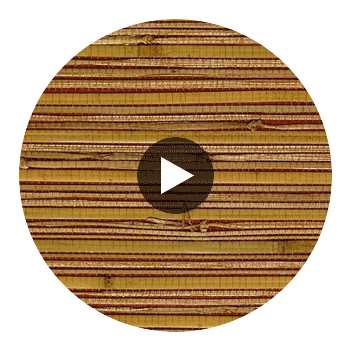 Kaluhee Grasscloth | Phillipe Romano Circular Swatch | DW