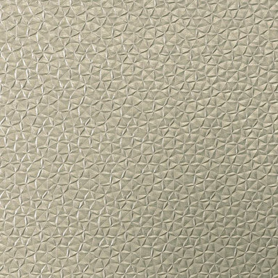 Kami - Champagne | Wolf Gordon Wallcoverings