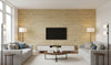 Kaopapa Striated Grasscloth | Phillipe Romano - living room room setting