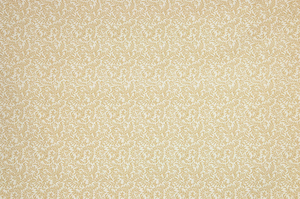 Le grand corail vermicule assorti Bistre Fond Blanc | Pierre Frey