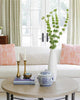 Room setting — Meg White Interiors