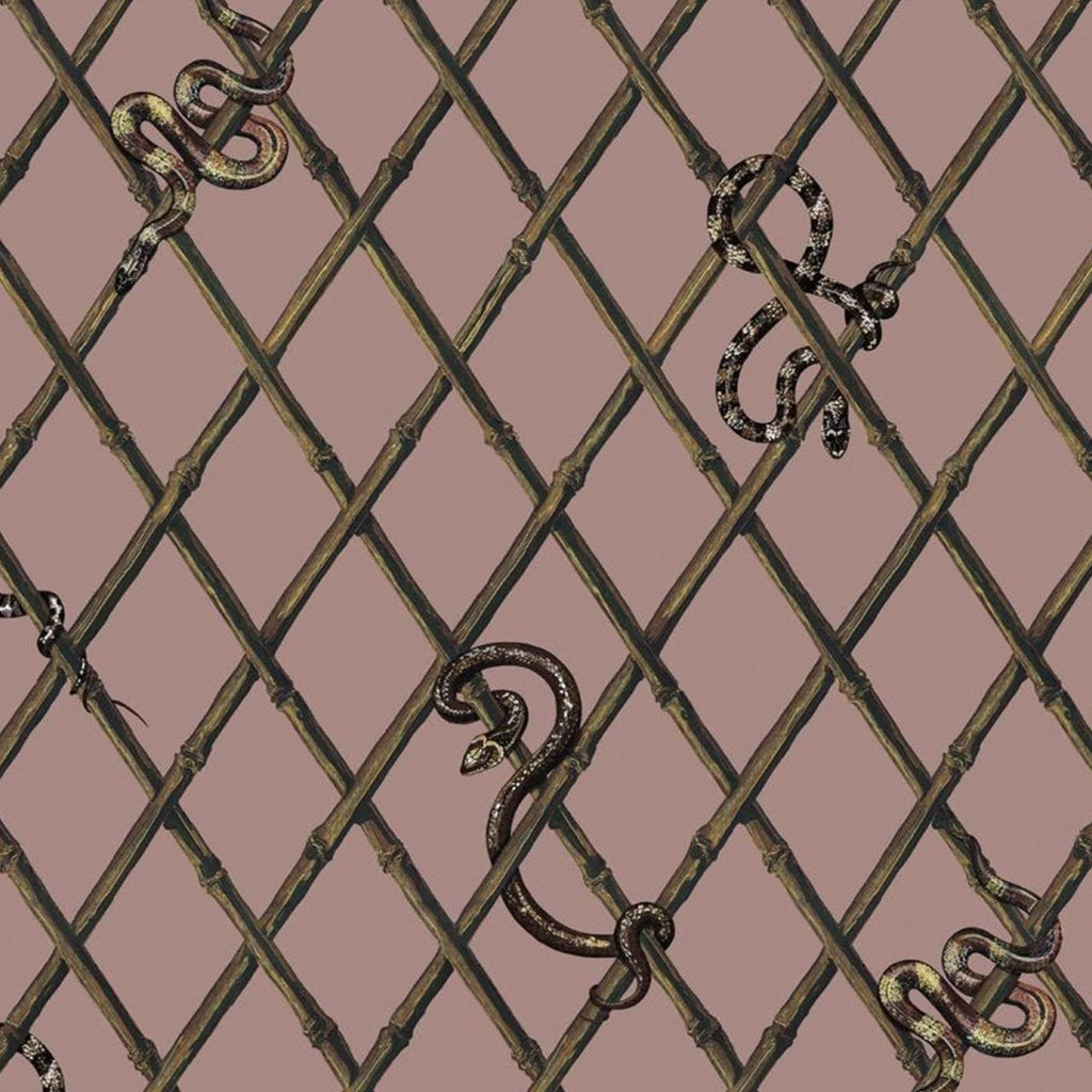 Khasia Old Rose, Sample