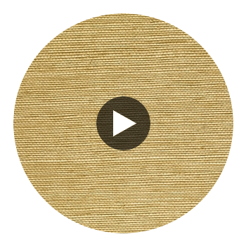 Kipa Tight Woven Grasscloth | Phillipe Romano Circular Swatch | DW