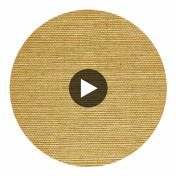 Kipa Tight Woven Grasscloth | Phillipe Romano Circular Swatch | DW